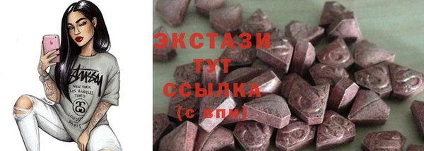 хмурый Аркадак