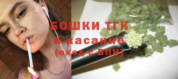 хмурый Аркадак