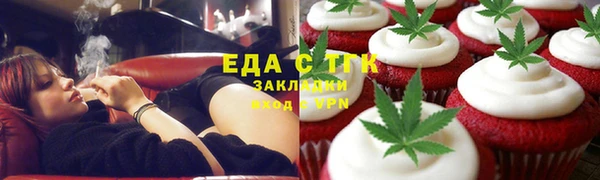 хмурый Аркадак