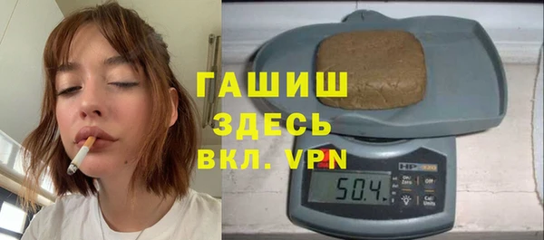 хмурый Аркадак