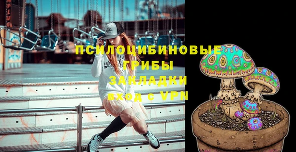 хмурый Аркадак