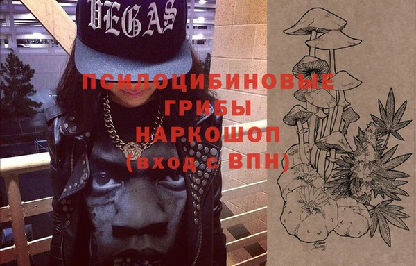 хмурый Аркадак