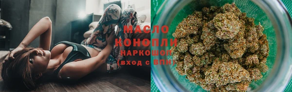 хмурый Аркадак