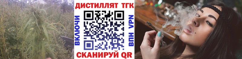 Дистиллят ТГК гашишное масло Губаха