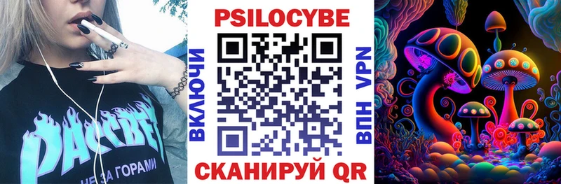 сколько стоит  Губаха  Псилоцибиновые грибы Magic Shrooms 